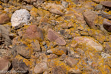 <center>Parc du Mugel.</center>Le poudingue. Galets etr lichens.