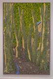 <center>Musée d'Art Moderne de Céret</center>Vincent Bioulès (1938, Montpellier)
Vit et travaille à Montpellier
Les platanes, le Jour 2005-2006
Huile sur toile. Vincent Bioulès participe au fondement de Supports/ Surfaces, qu'il quitte en 1972. Il revient alors vers des sujets plus traditionnels de la peinture, en particulier les paysages, qu'il développe entre abstraction et figuration. En 2005-2006, en résidence à Céret, il peint sur le motif l'espace et la végétation de la ville. Les platanes, le jour, témoigne de la production de cette période, ambitieuse et inventive, pleine de souffle et d'intensité, elle évoque la Joie de la couleur et le plaisir de peindre.