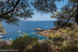 <center> L'ile Verte. Calanque Seynerolles. </center>La plage de la Seynerolles dans la calanque située la plus au sud de l'île.