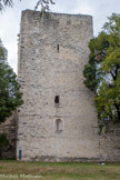 <center>Montélimar. Le château des Adhémar. </center> La tour de Narbonne. 14ème siècle.
Cette tour est le dernier vestige du château de Narbonne et des Adhémar de Monteil de La Garde, détruit lors de la construction de la citadelle au l6ème siècle. Cette construction massive mesure 24 mètres de haut.
La trace de mâchicoulis datant du début du 14ème siècle est encore visible sur son sommet.